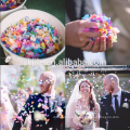 Natural Wedding Confetti Biodedradable Confetti Push Pop